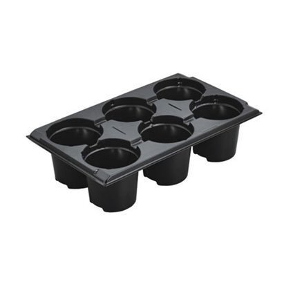 XD 6 cell seed trays