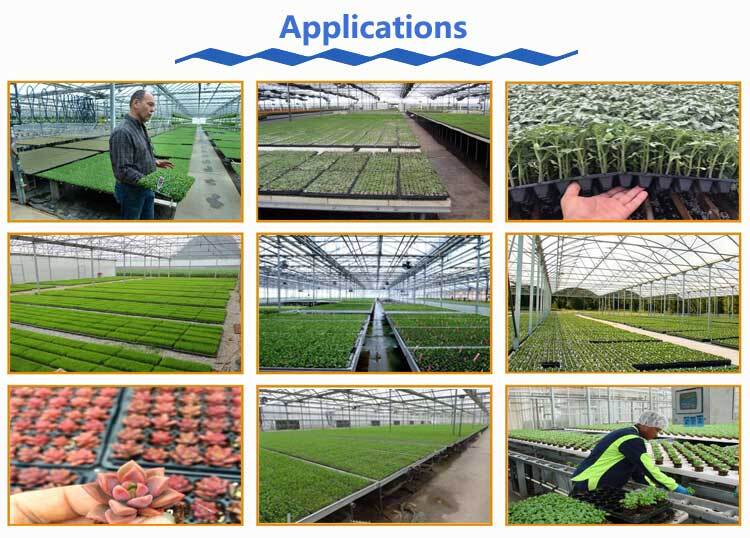 seedling trays application