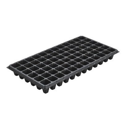 XT 72 cell plug trays