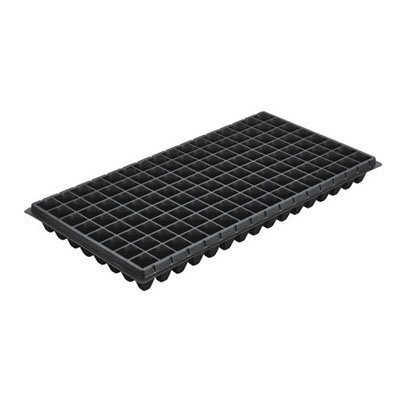 XT 128 cell trays